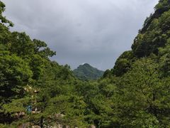-朱雀国家森林公园