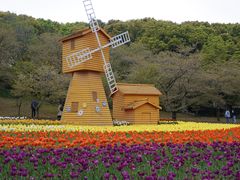-苏州上方山国家森林公园