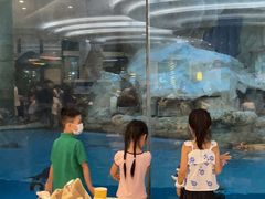 -帝企鹅自助餐厅•儿童岛•真企鹅(长隆企鹅酒店)