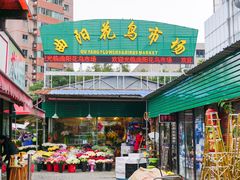 -曲阳花鸟市场(曲阳路店)