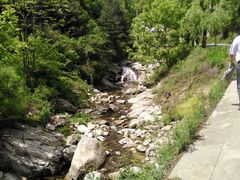 -王顺山国家森林公园