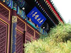 -天津大悲禅院