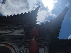 -啊马英豌豆粉