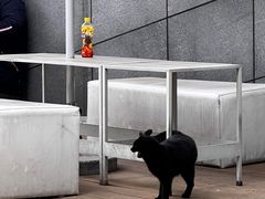 -UNI UNI(环亚凯瑟琳店)