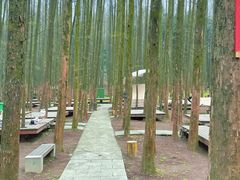 -山王坪喀斯特国家生态公园