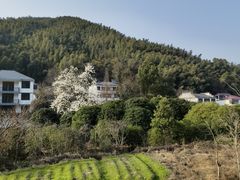 -梅岭神龙潭