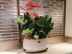 -海底捞火锅(高科广场店)