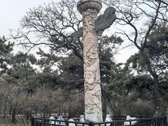 -北陵公园