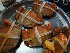 -小陆莲花蟹园农家乐(莲花岛店)