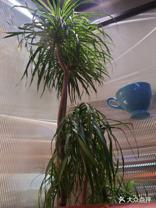 théATRE茶聚场·餐厅(环球金融中心店)图片