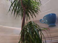 -théATRE茶聚场·餐厅(环球金融中心店)