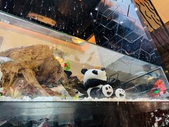 -红辣椒·川菜·火锅(科华路店)