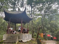 -西岭雪山大飞水景区