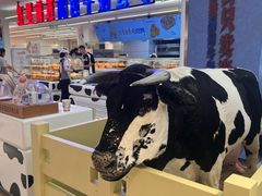 -红星前进面包牛奶公司(君太店)