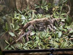 点击看大图 -酷嗒动物文化乐园(cutezoo西溪乐天城店)