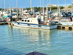 -巧克力渔家.小船海鲜胶东菜(万平口店)