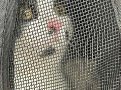 -暖阳宠物医院·犬猫康复中心·骨科
