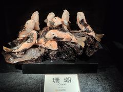 -石头记矿物园
