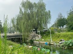 -北坞公园