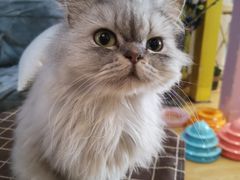 -万小咖.猫咖(中山路天虹店)
