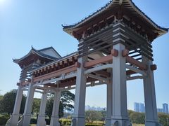 -王借岗森林公园