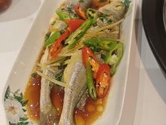 -海悦汇•闽菜•蒸汽海鲜(合景峰汇商务广场店)