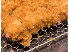 -胜博殿霸王树(嘉里中心店)