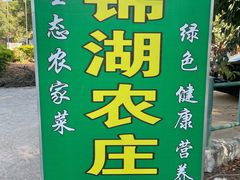 -锦湖农庄(松山湖梦幻百花洲店)