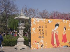 -西安青龙寺遗址景区