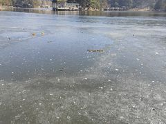 -庐山风景区花径公园