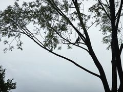 -野鸭湖国家湿地公园