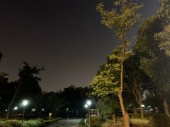 -南翔镇银翔湖公园