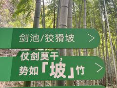 -莫干山风景区