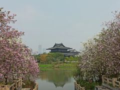 -海珠湖公园