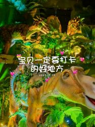 -恐龙探索乐园(磁器口店)