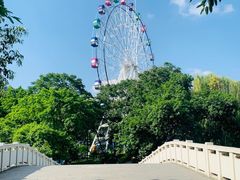 -塔子山公园