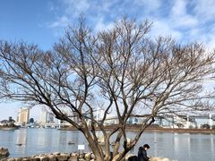 -台场海滨公园船码头