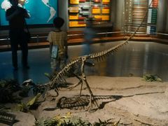 android_upload_pic-自贡恐龙博物馆