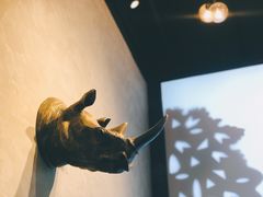 -ZOO COFFEE动物园咖啡(望京锐创店)