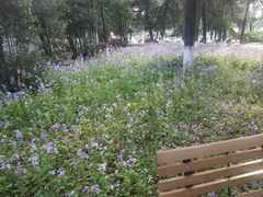 -江苏科技大学(梦溪校区)