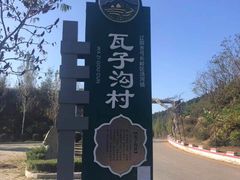 -高家大院烤全羊