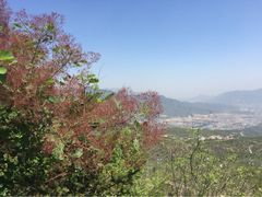 iphone_upload_pic-定都峰