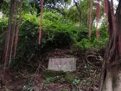 -晓港公园
