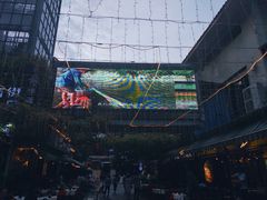 -刘姐啤酒鱼民族演艺餐厅(西街总店)