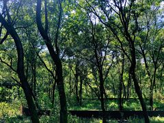 -西湖风景区-江洋畈生态公园