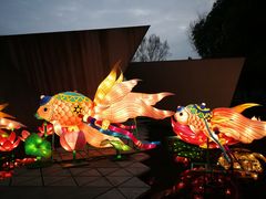 -武汉园博园(武汉自然博物馆)