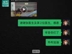 -瑞派申生动物医院·24H夜诊·国际动物医疗中心·骨外科(吴中路店)