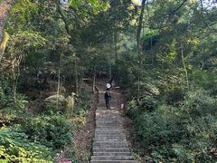 -岳麓山风景名胜区