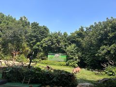 -广州长隆野生动物世界