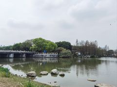 -海珠湖公园